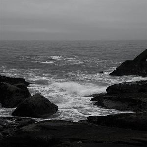 浪荡公子网站视频
