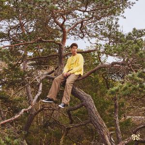 浪荡公子网站视频
